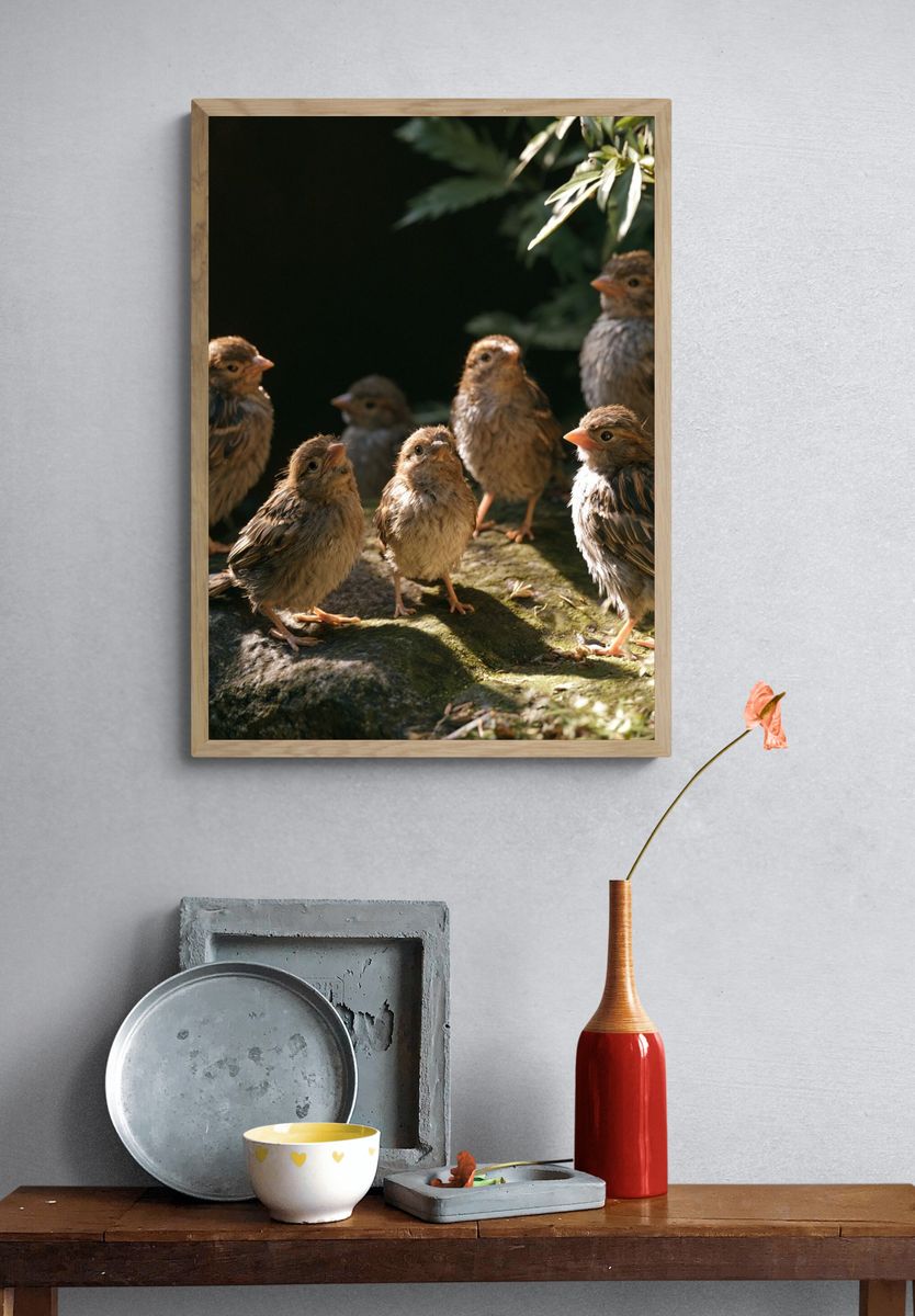 Baby Birds in Sunlight Poster. — room view 3