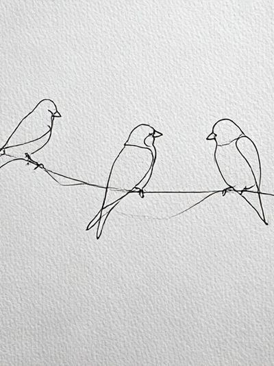 Three Birds Line Art Poster. poster print