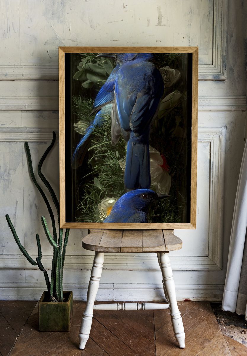 Blue Birds — Nature Print. room preview