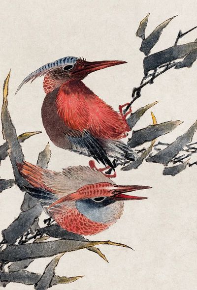 Colorful Birds on Branch — Illustration Print. poster print