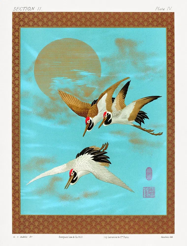 Three Sarus Cranes by G.A. Audsley — Art Print. poster detail