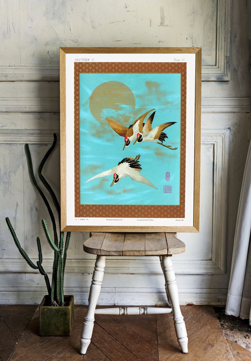 Three Sarus Cranes by G.A. Audsley — Art Print room preview