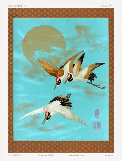 Three Sarus Cranes by G.A. Audsley — Art Print