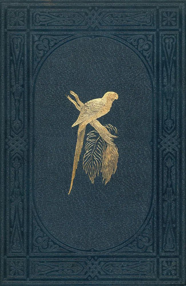 Book cover colored wood-engraved plate. poster detail