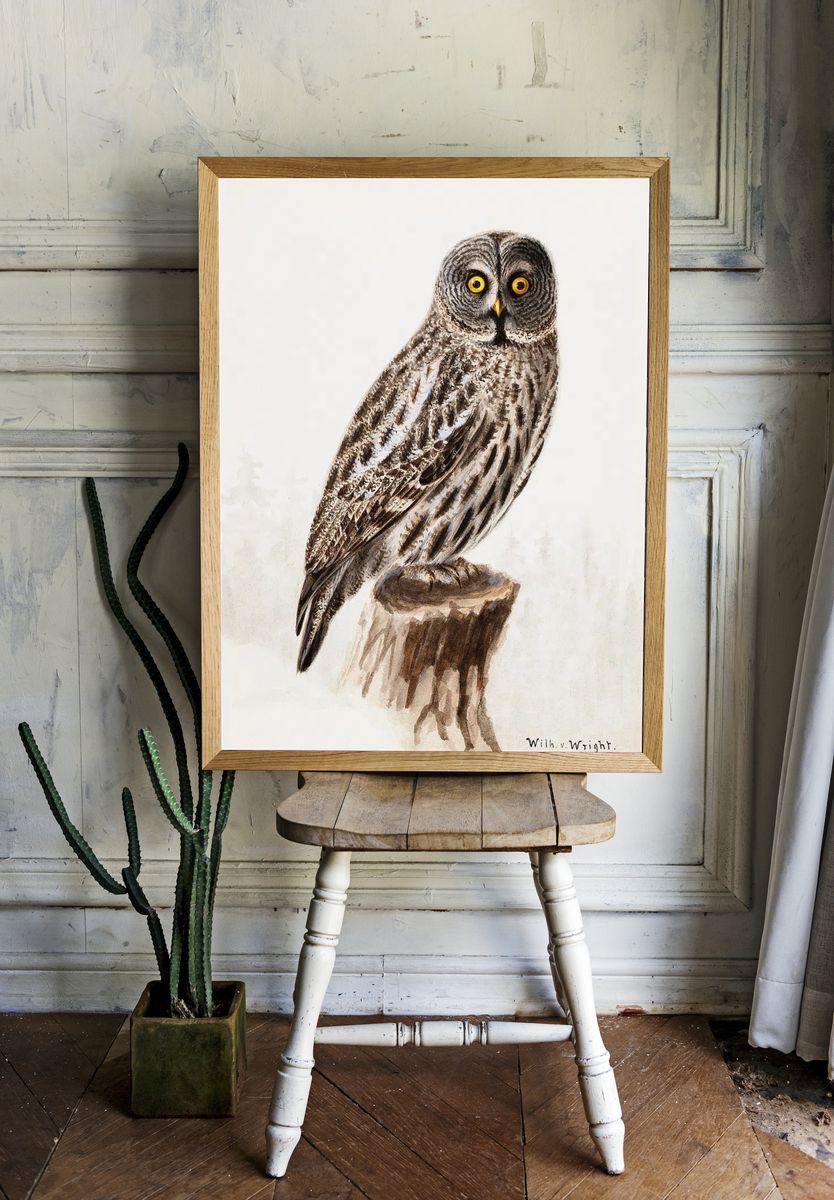 Great grey owl, 1830 - 1870, Wilhelm von Wright — Art Print room preview