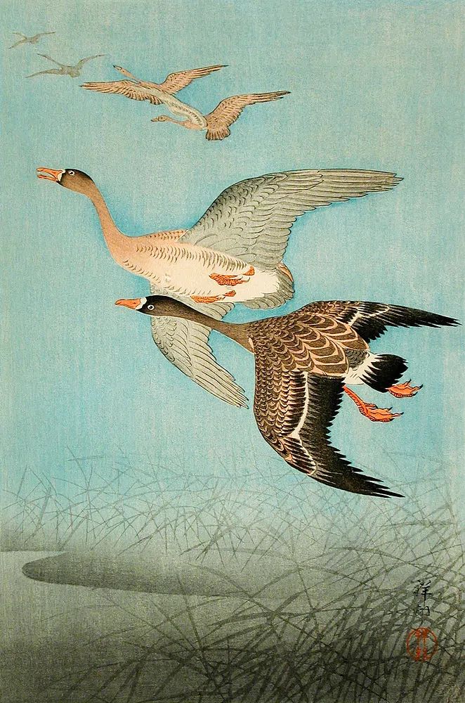 Flying Geese by Ohara Shoson — Art Print. poster — animals art