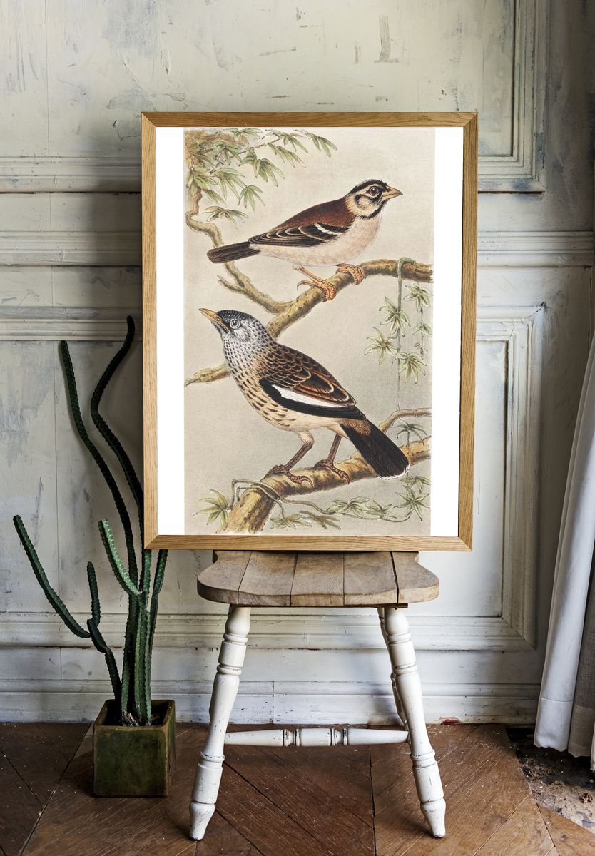 Twee vogels op takken (1878–1917). — room view 1