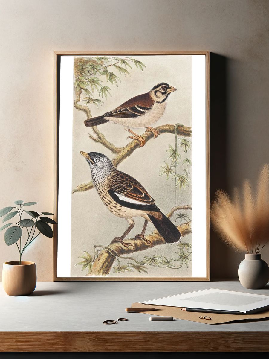 Twee vogels op takken (1878–1917). — room view 2