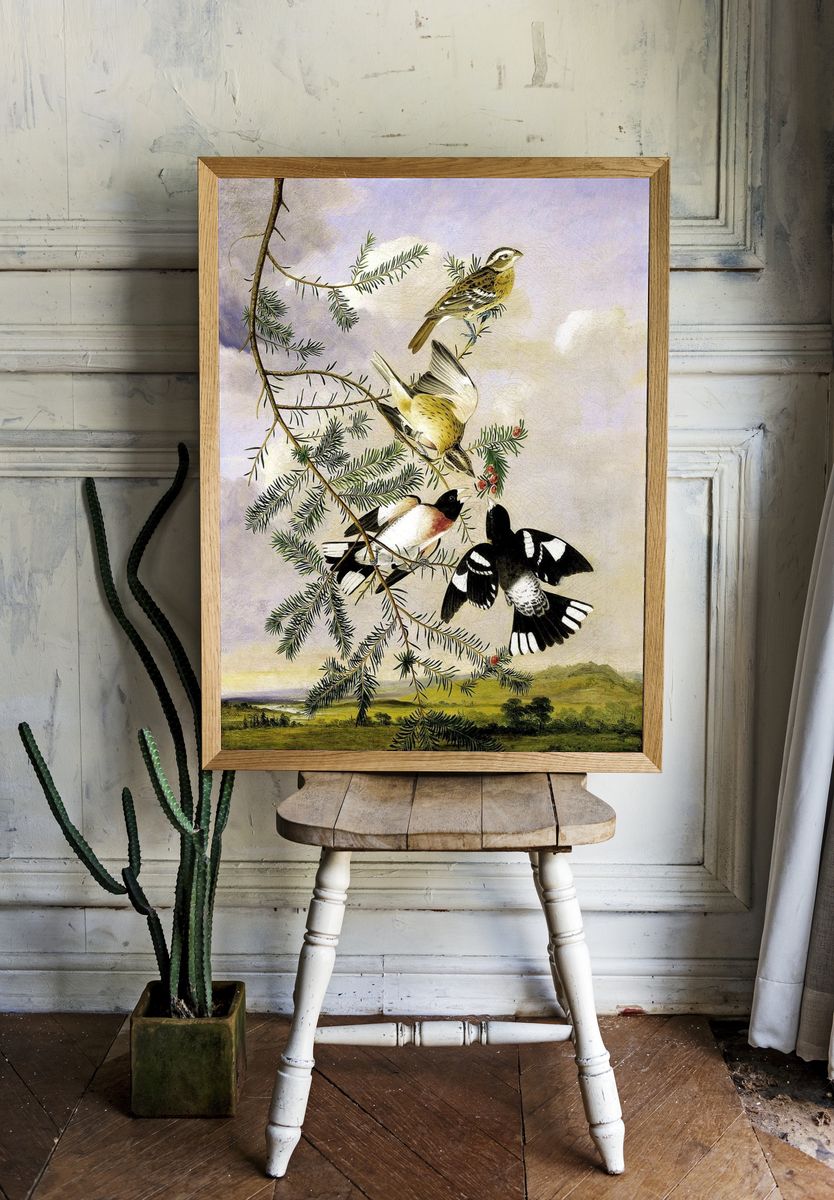 Rose-Breasted Grosbeak by Joseph Bartholomew Kidd — Art Print room preview