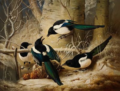 Magpies round dead female capercaillie. poster