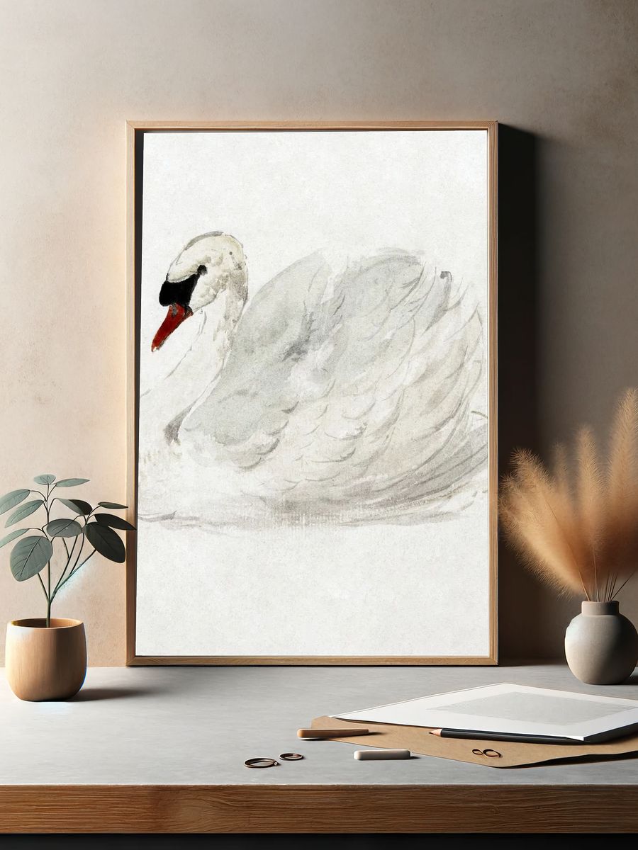 Mute swan (ca. 1720–1792) drawing. — room view 2