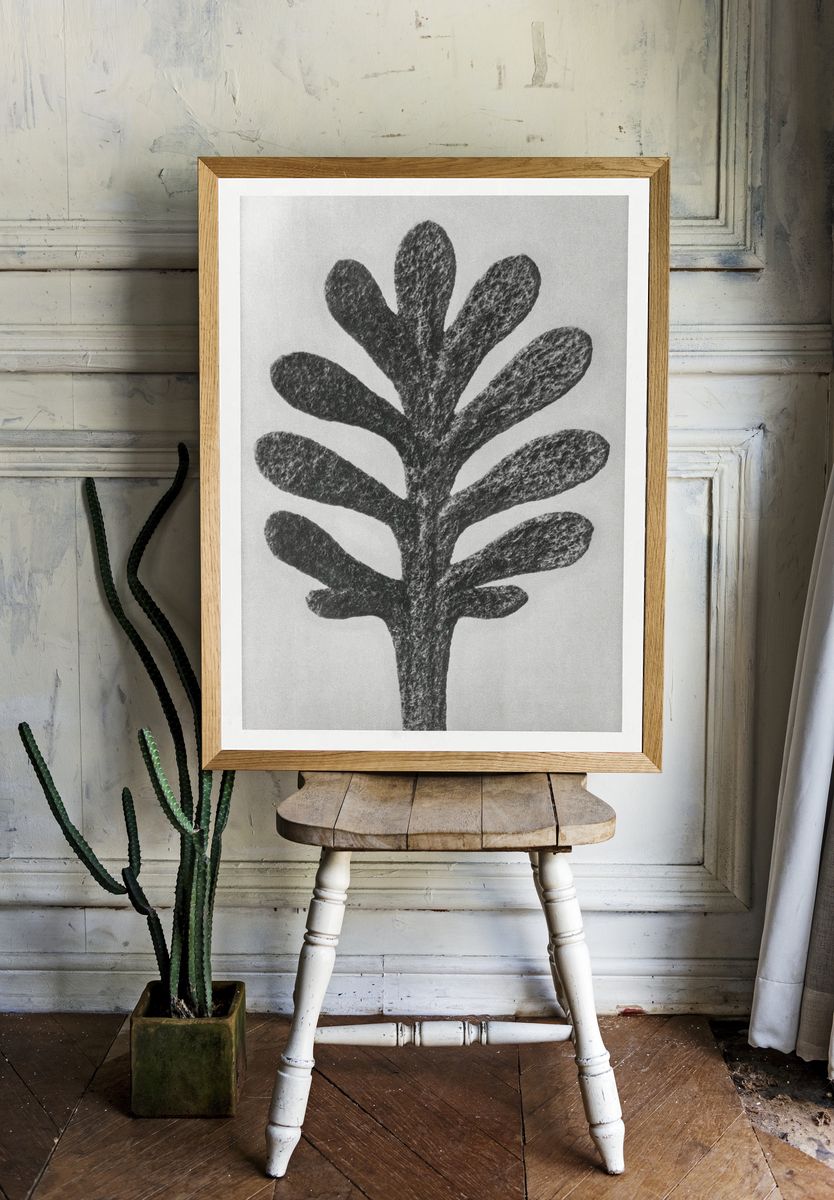 Achillea Umbellata (Yarrow) leaf enlarged. — room view 1