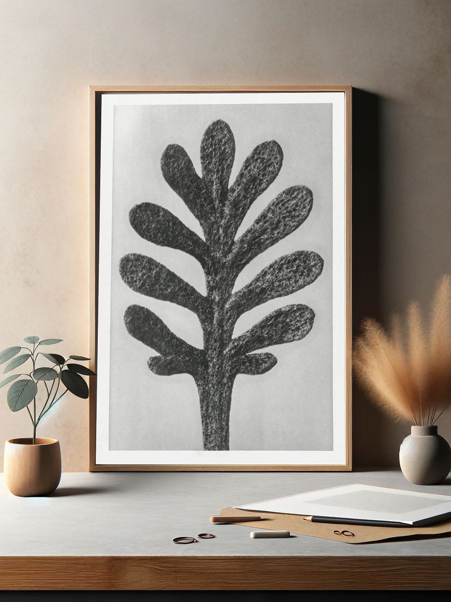 Achillea Umbellata (Yarrow) leaf enlarged. — room view 2