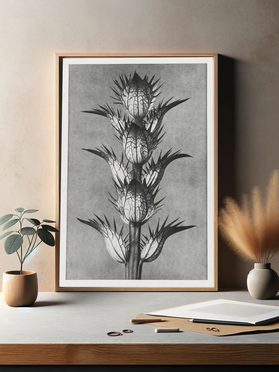 Acanthus mollis (bear's breeches) enlarged. — room view 2
