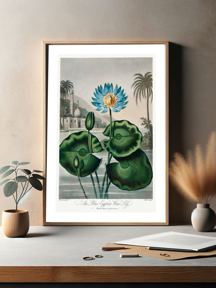The Blue Egyptian Water Lily — Vintage Print. — room view 2