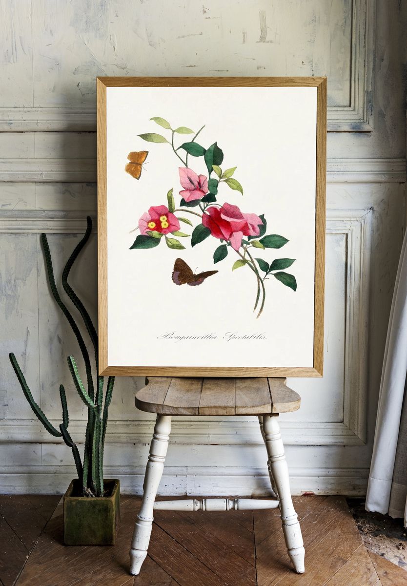 Bougainvillea flower painting. Digitally enhanced. room preview