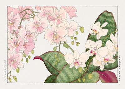 Vintage orchid flower, ukiyo e. poster print