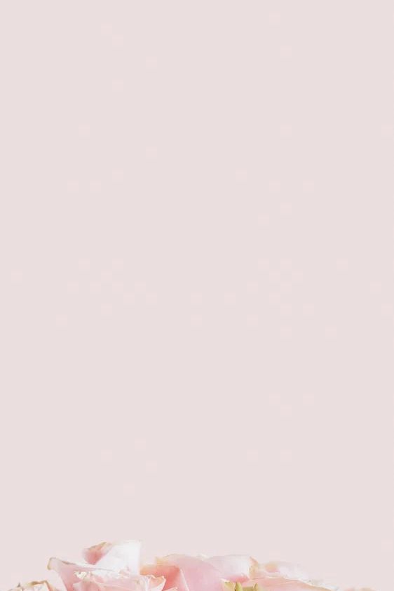 Light pink roses pastel pink. poster detail
