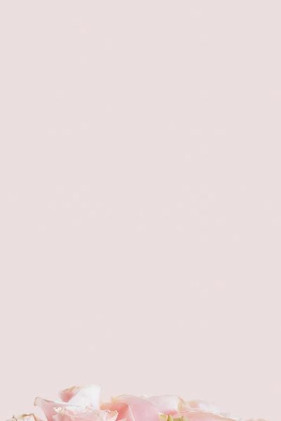 Light pink roses pastel pink. poster