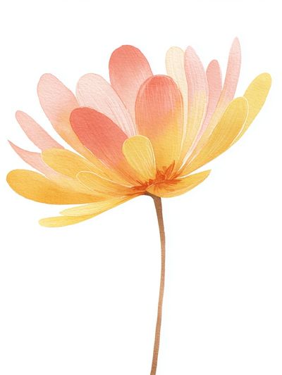Soft Petal Bloom Watercolor Print. poster print