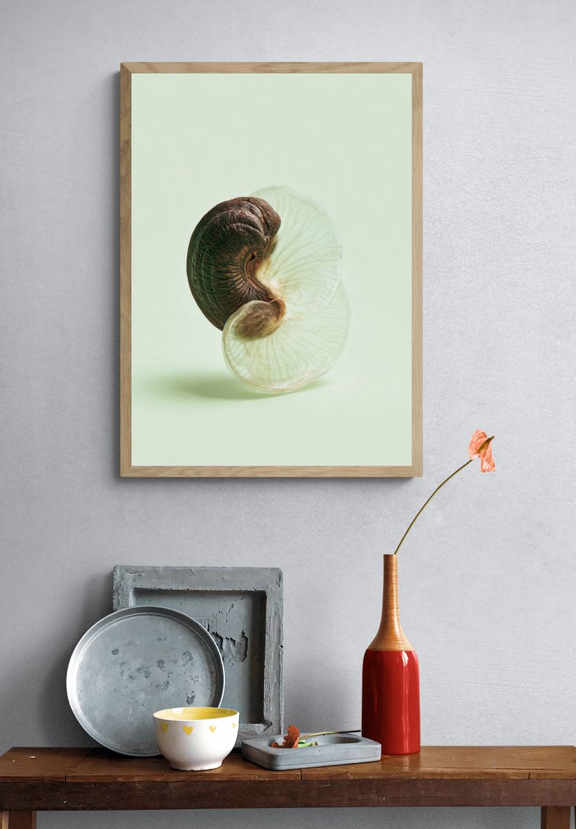 Nautilus Shell Minimalist Print. — room view 3
