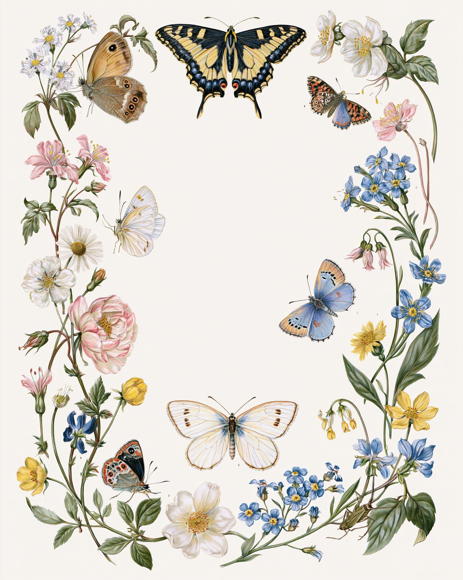 Butterflies and Wildflowers Botanical Poster. poster detail
