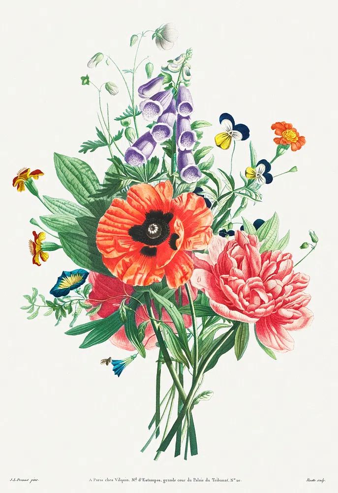 Collection Flowers Fruits Painted Nature. poster detail