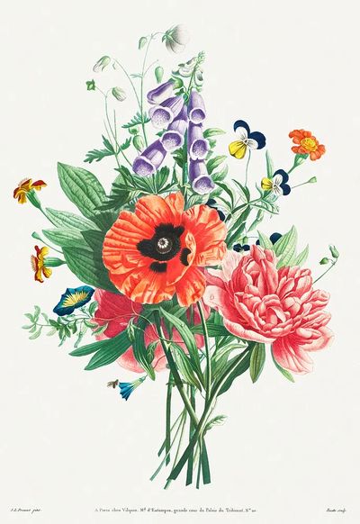 Collection Flowers Fruits Painted Nature. poster print
