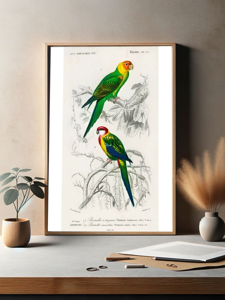 Different types birds illustrated Charles. — room view 2
