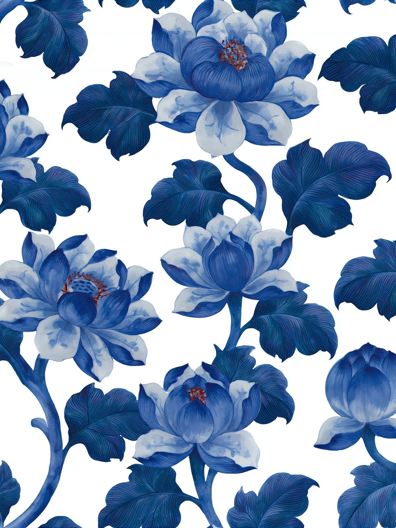 Blue Floral Botanical Print. poster — botanical art
