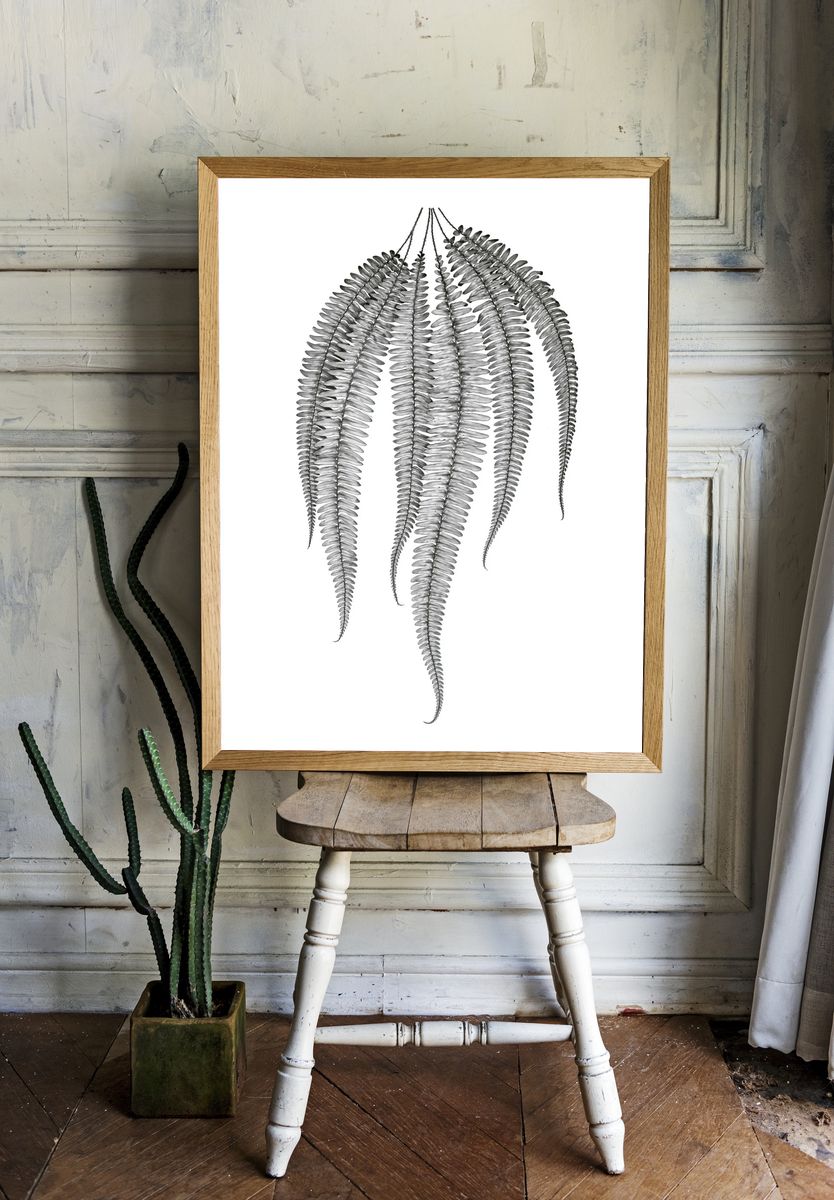 Hanging Fern Botanical Print. room preview