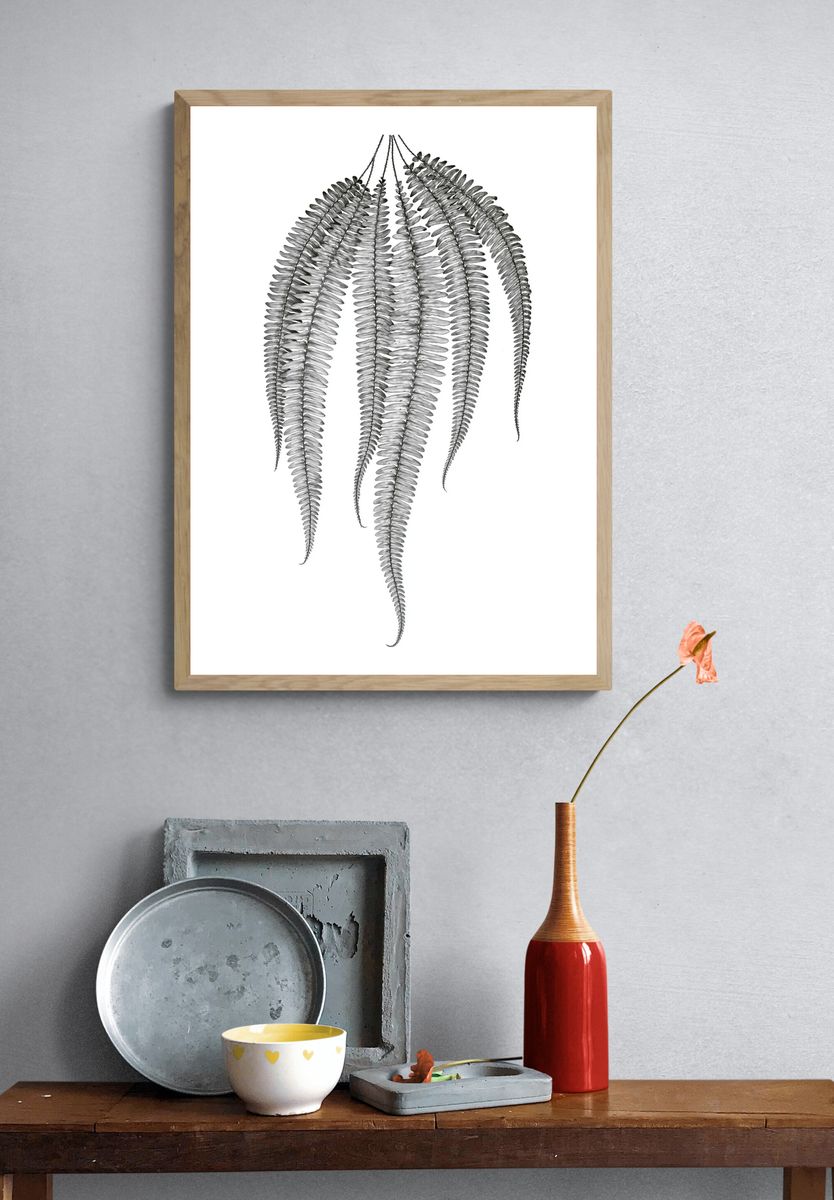Hanging Fern Botanical Print. — room view 3