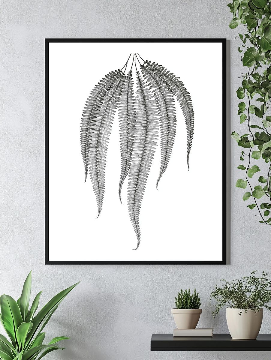 Hanging Fern Botanical Print. — room view 4