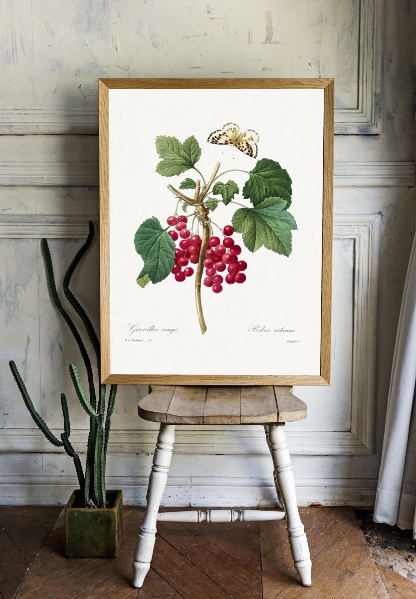 Red Currant Choix des plus. room preview