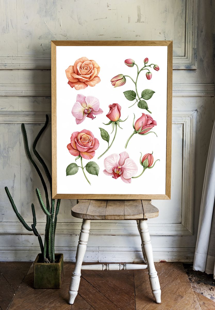 Pink Roses Botanical Print. — room view 1