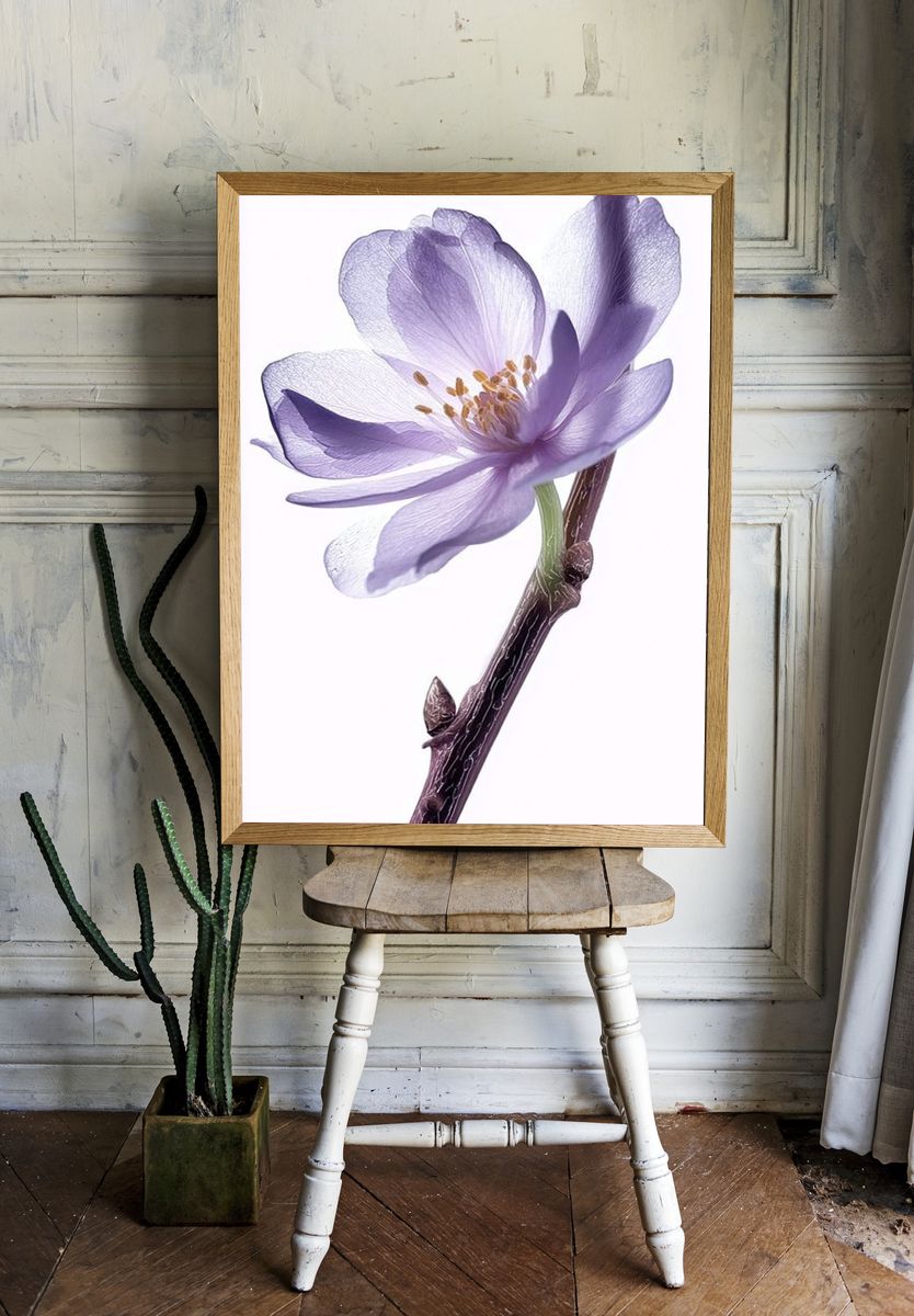 Purple Blossom Botanical Print. room preview
