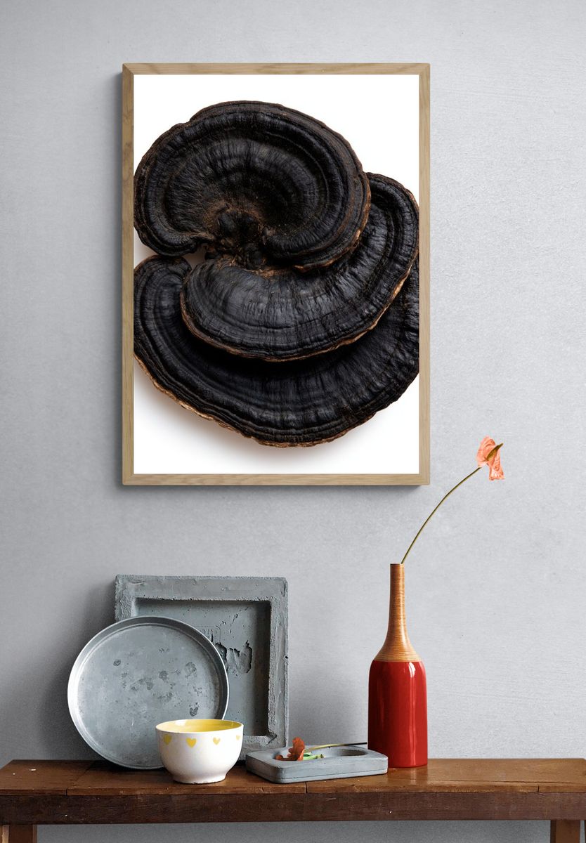 Reishi Mushroom Botanical Print. — room view 3