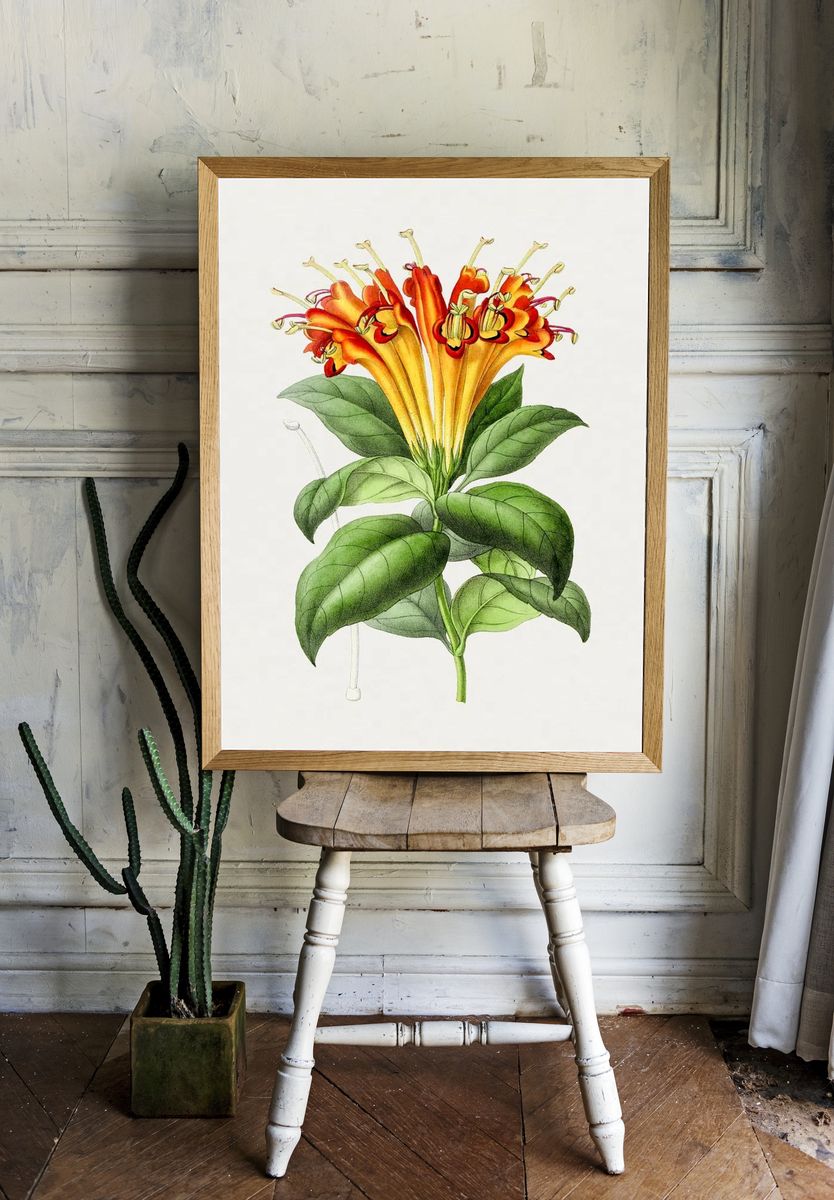 Hand drawn honeysuckle flower. Original. — room view 1
