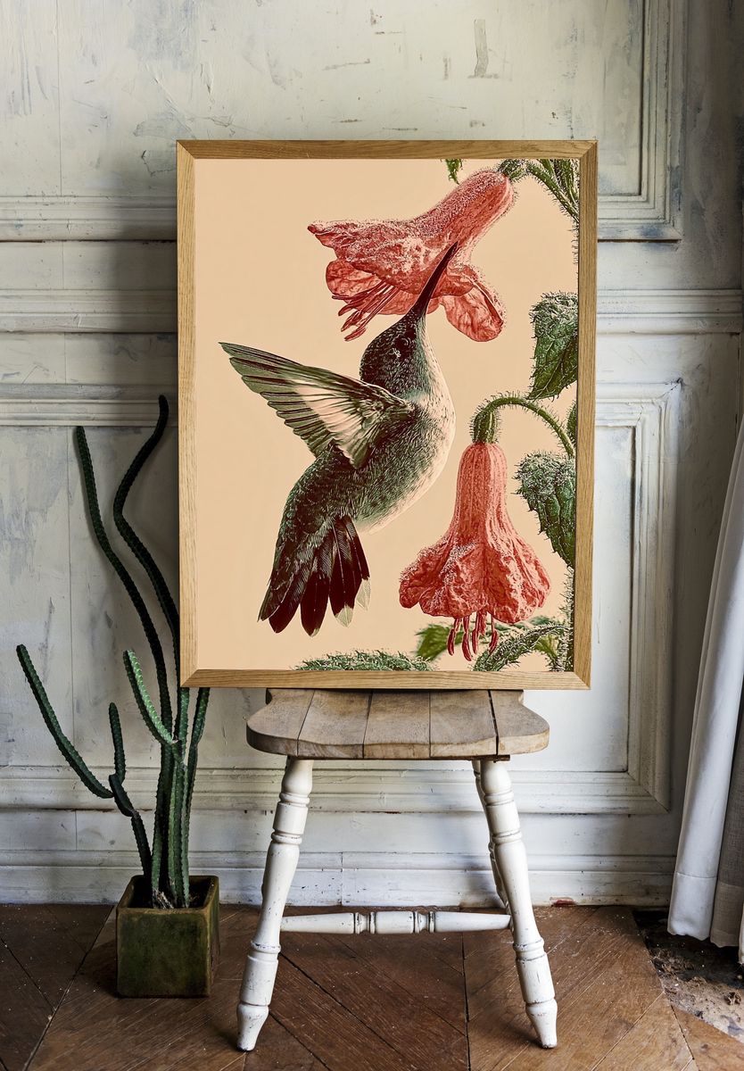 Hummingbird and Fuchsia Botanical Print. — room view 1