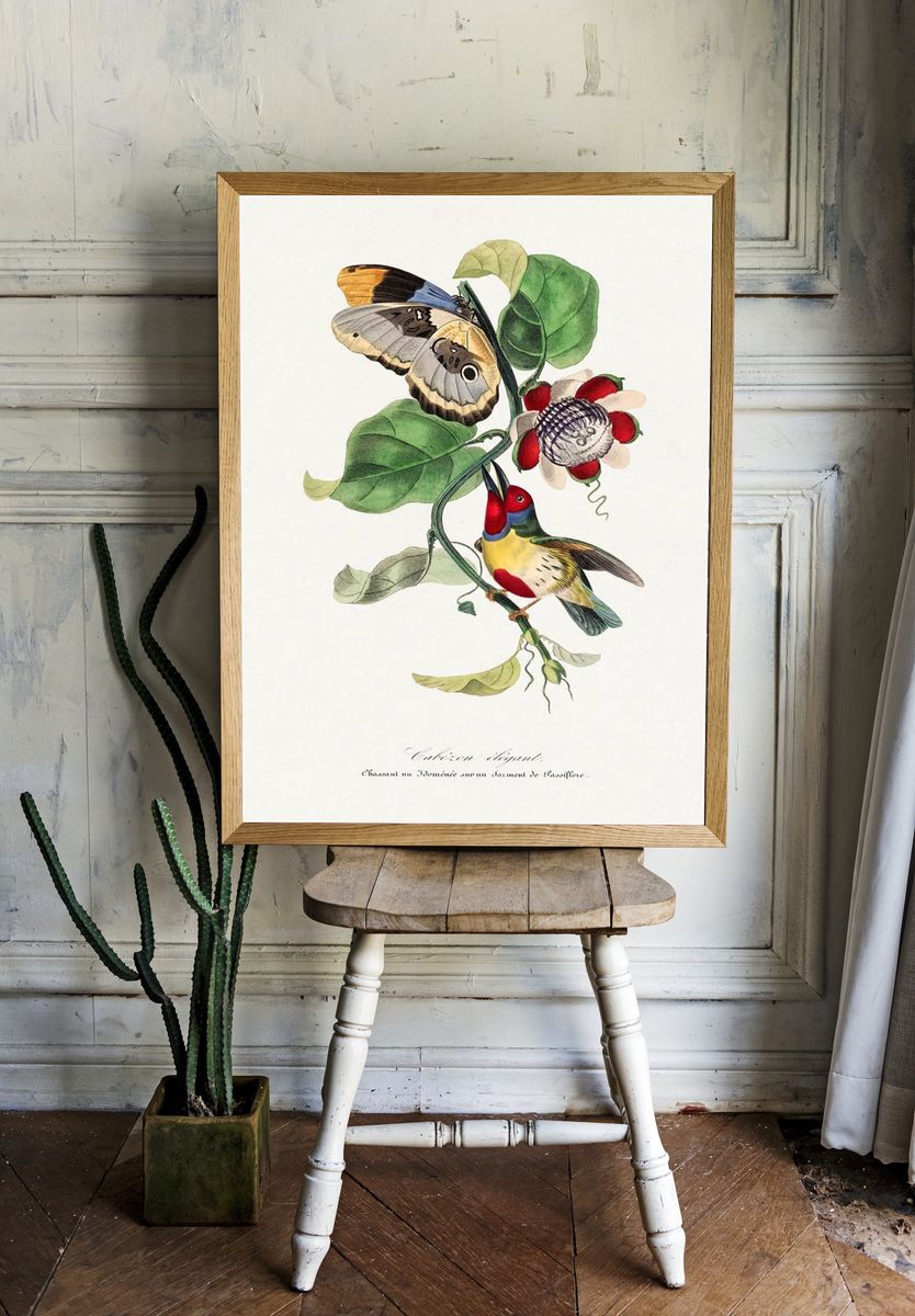 Versicolored barbet bird painting. Digitally. — room view 1