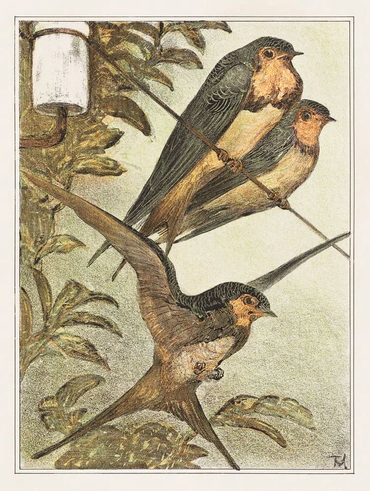 Drie zwaluwen (1878–1910) print high. poster detail