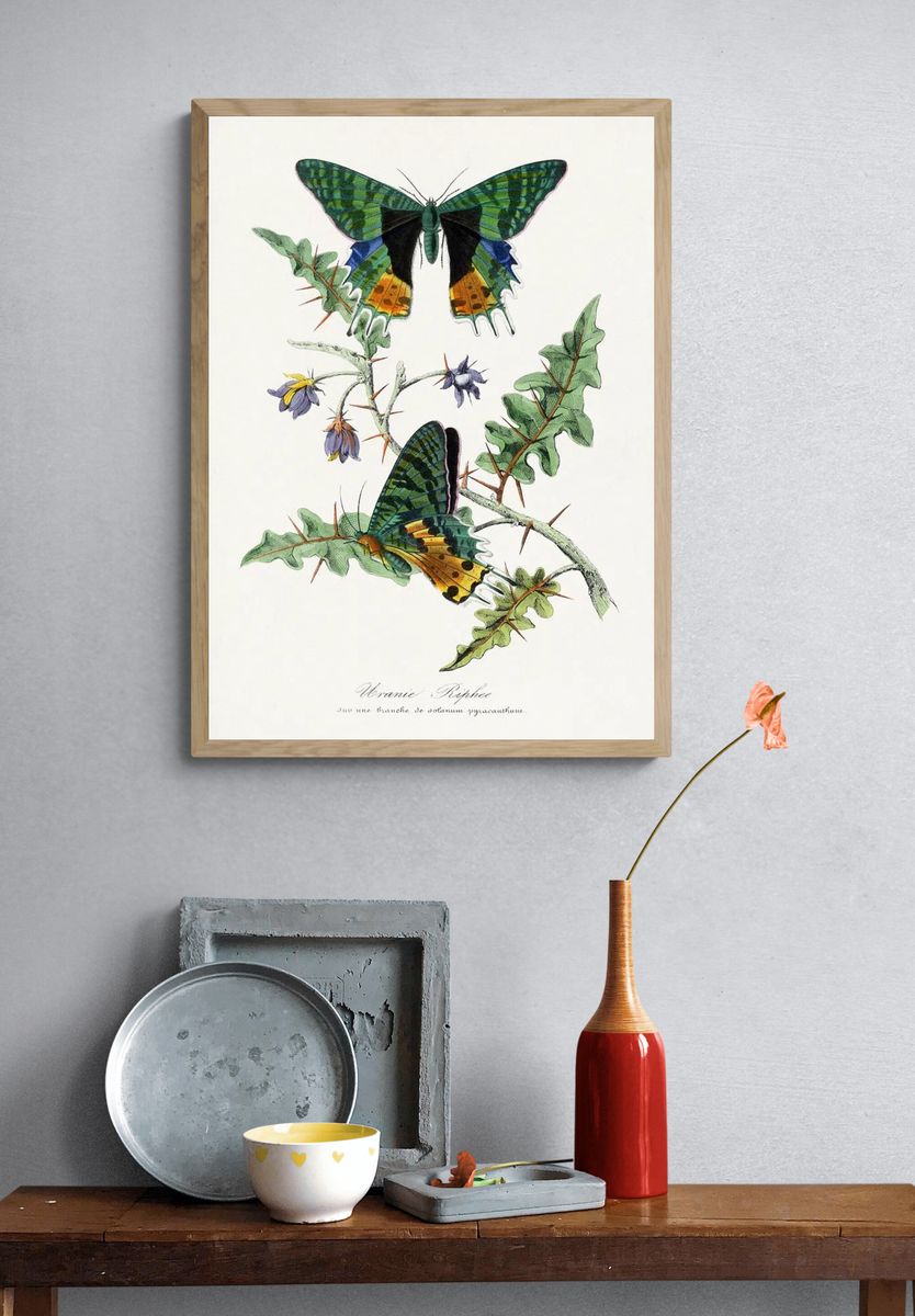 Lavender Botanical Watercolor Print. — room view 3