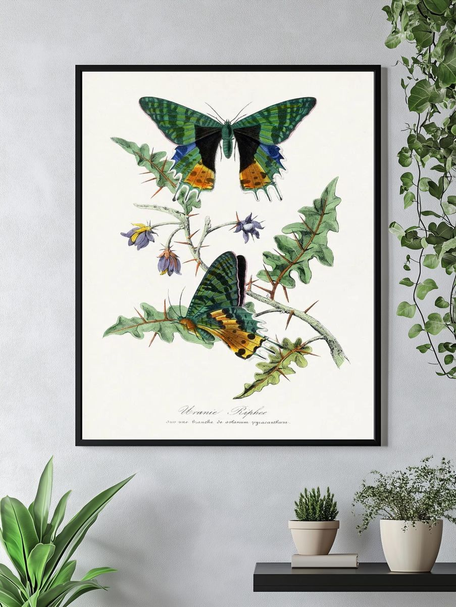 Lavender Botanical Watercolor Print. — room view 4