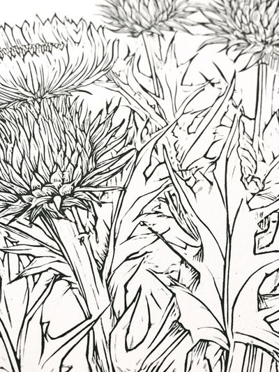 Thistle Bloom Line Art Poster. poster