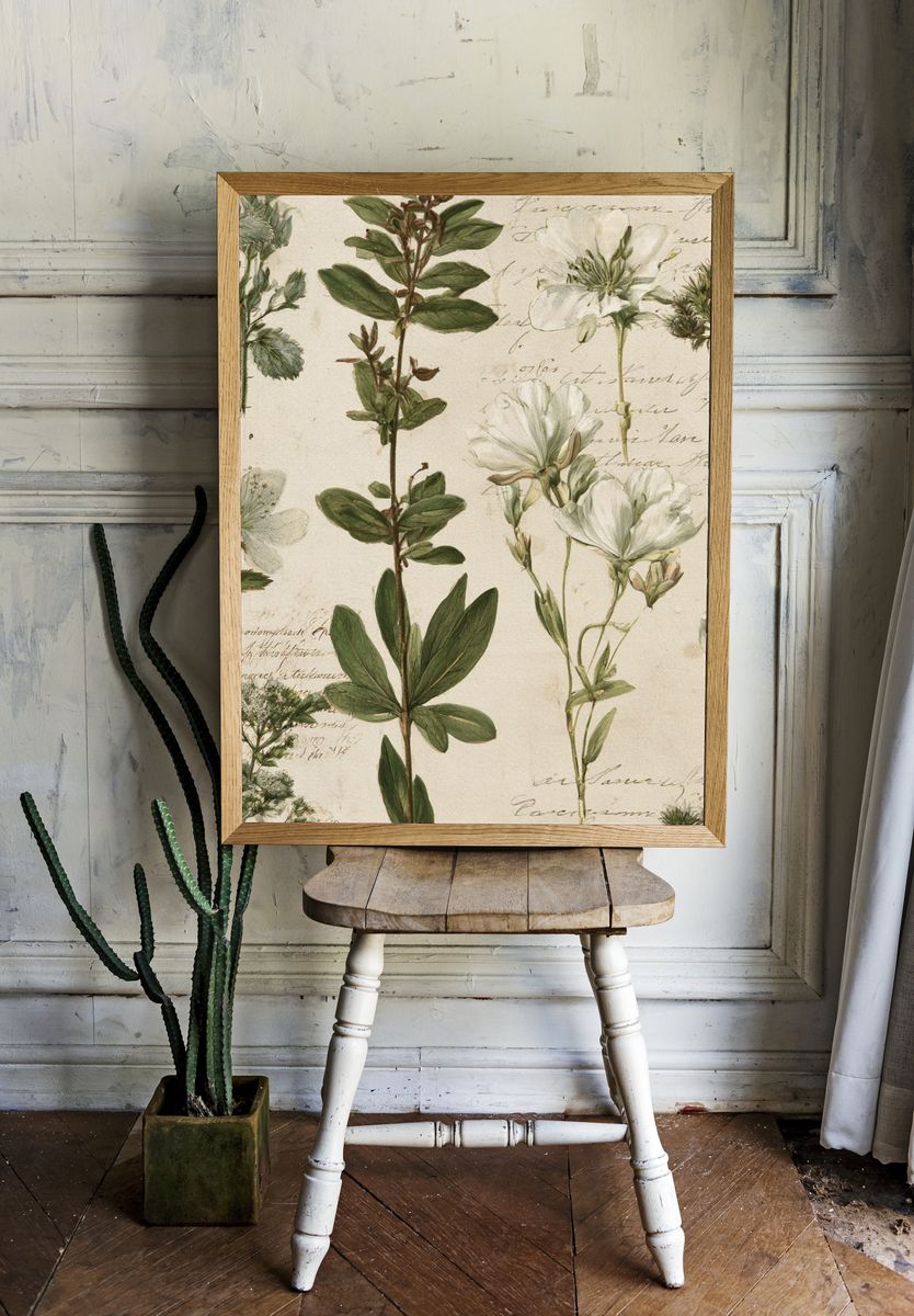 Vintage Botanical Study Poster. — room view 1