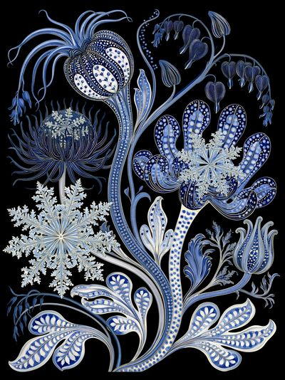 Blue Botanical Winter Poster. poster