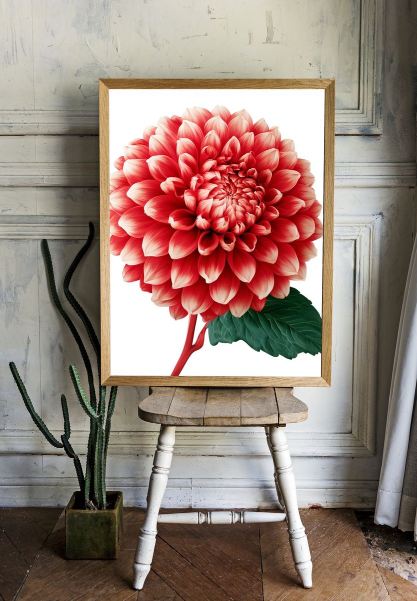 Red Dahlia Botanical Print. — room view 1