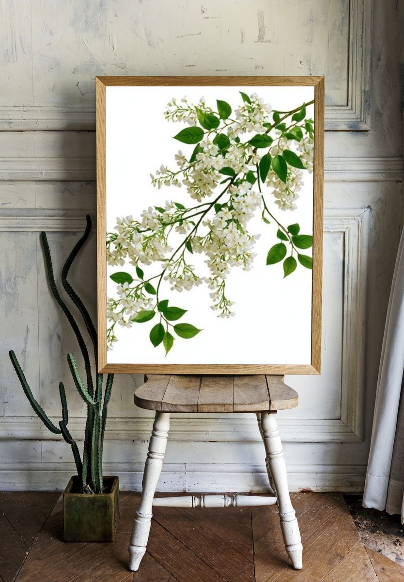 White Blossom Botanical Print. room preview