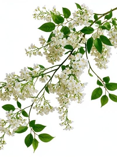 White Blossom Botanical Print. poster