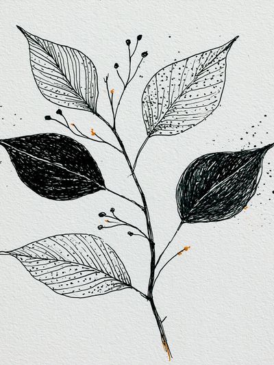Botanical Ink Leaves Print. poster print